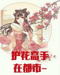 护花高手在都市-