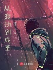 从渡劫到成圣