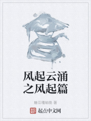 风起云涌之风起篇
