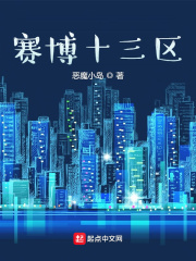 赛博十三区