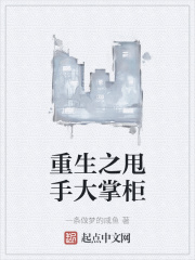 重生之甩手大掌柜