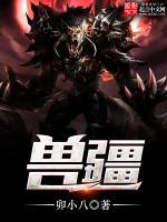 兽疆无人机907电机参数