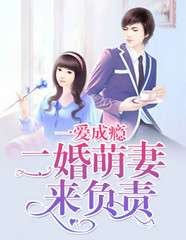 一婚二爱txt