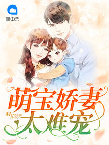 萌宝娇妻太难宠TXT