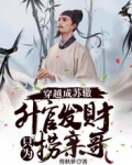 穿越成苏辙，升官发财只为捞亲哥