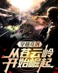 穿越亮剑：从苍云岭开始崛起