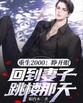 重返2000：全能大明星