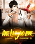 盖世龙医