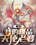 网游：我的极品天使老婆