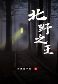北野之王：假王爷也能得天