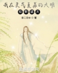 我在灵气复苏的大明投影诸天！