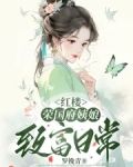 红楼：荣国府姨娘致富日常