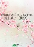 我捡回来的虐文男主都爱上我了［快穿］