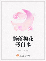醉落魄梅花似雪