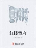 红楼贾府