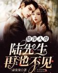 情深入骨:陆先生,再也不见 一朵发发