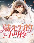 陆先生的小可怜